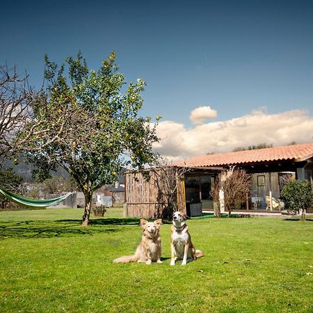 Casa Barros Villa ตุย ภายนอก รูปภาพ